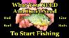 Beginners Guide To Fishing Gear How To Start Fishing With A Rod And Reel