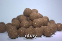 Carp/coarse fishing boilies pbjs- peanut butter and strawberry